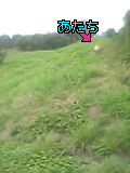 05-07-17_00-22.jpg