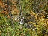 df9f06a3.jpg
