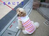 ?
