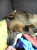 041110_2201~01.jpg