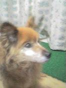 040510_1917~001.jpg