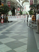 c62451e6.jpg