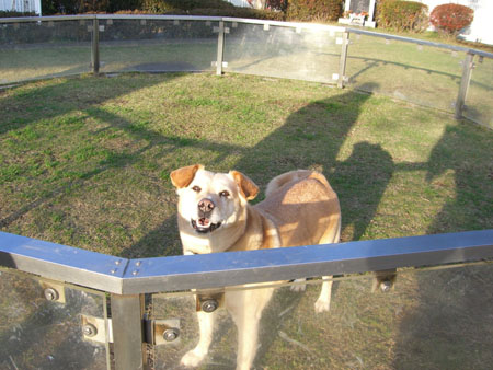 キャサリン