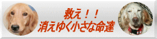 ダウンロードはこちら