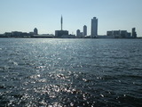 Ocean View