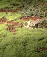 050729-195853.jpg