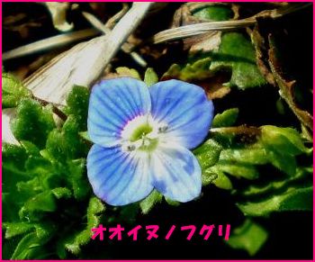 070404�������̥Υե���