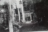 ¼���ü���绳���ҡ�