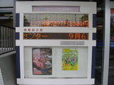 IMGP3472