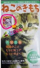 hyoushi