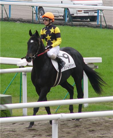 ドリームマジシャン1