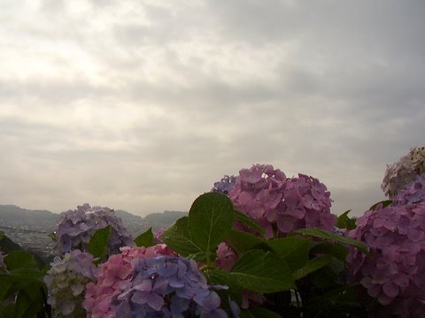 ���硦����������