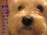 1d1a07b8.JPG