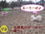 ������