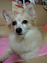 a353288a.jpg