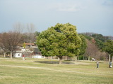 bacc91ea.jpg