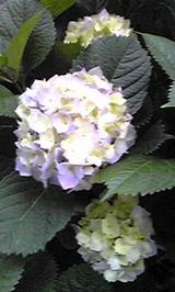 a7394bb3.jpg