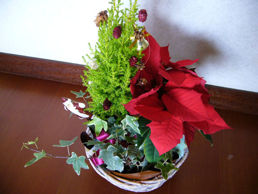 クリスマスのお花