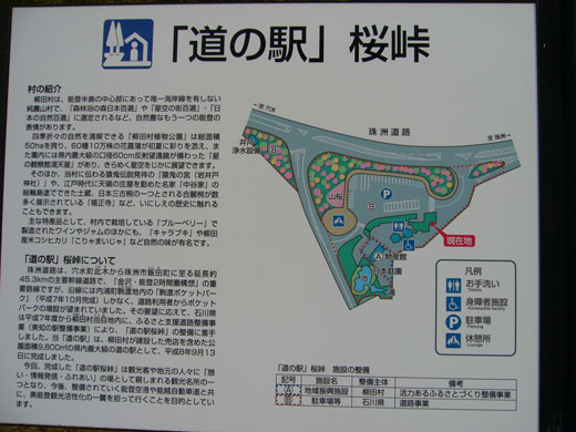 桜峠2