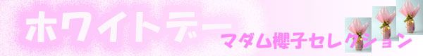 �ۥ磻�ȥǡ����磻�󥳡��ʡ�