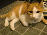 20080502203002