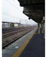 2f55e9d0.jpg
