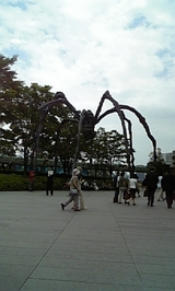 361aca50.jpg