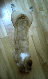 4579f3a6.jpg