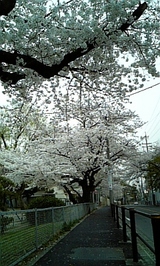 6c953c2d.jpg