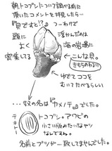 tokobu1