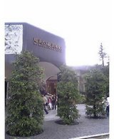 c51db8a9.jpg