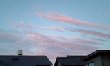 c780dcd0.jpg