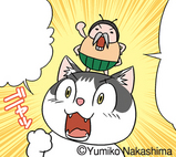 nekoten
