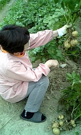 f0370434.jpg