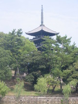 興福寺五重の塔です