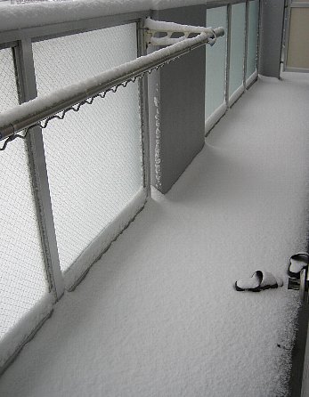 初雪