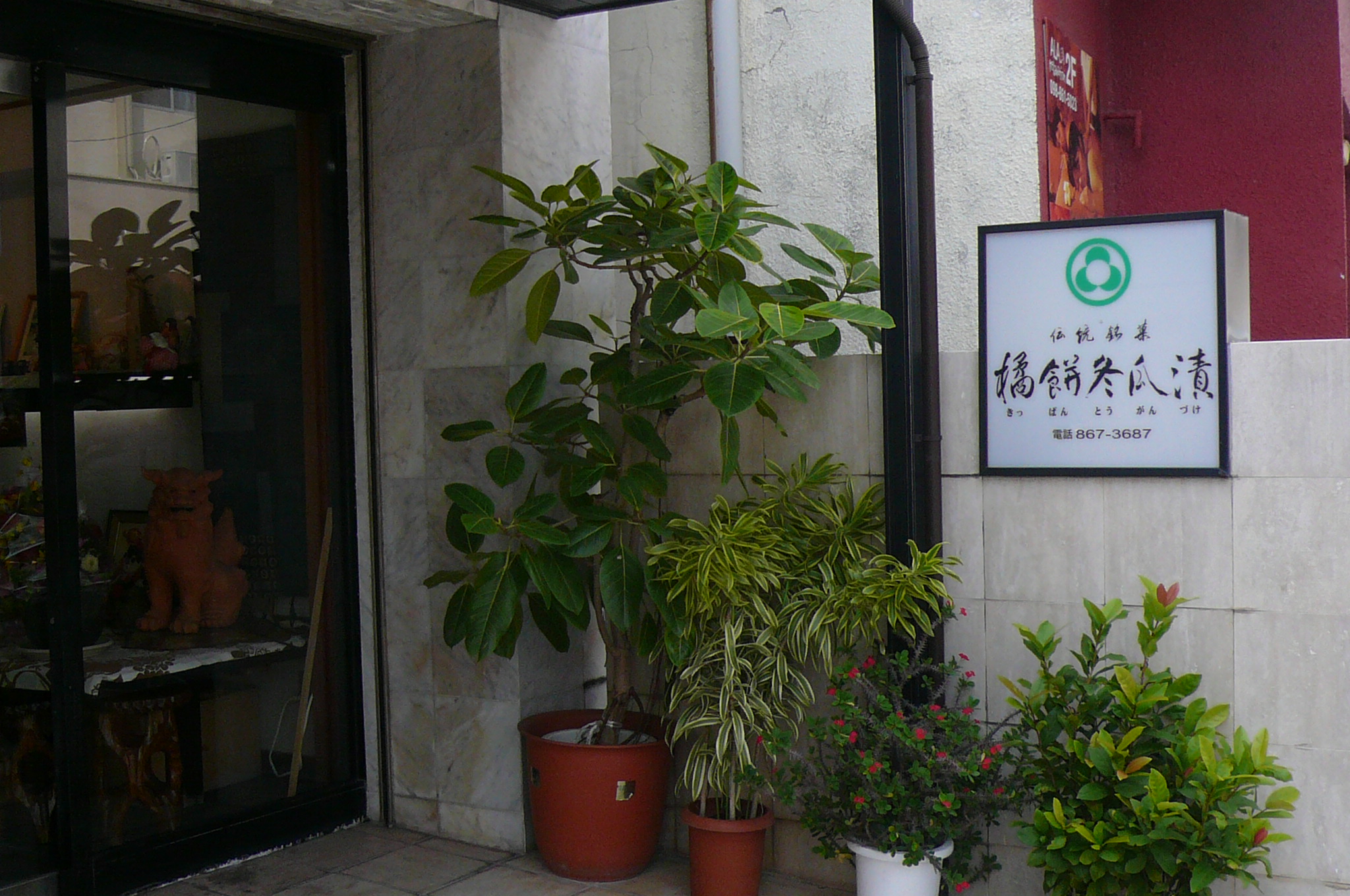P1010936