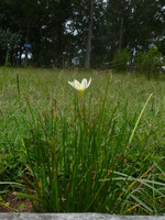 P1080138