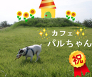 かふぇ