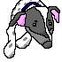 mimi