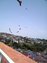 �ƥ饹��