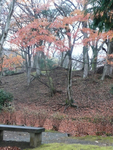 紅葉とベンチ