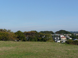 ハゲ山1