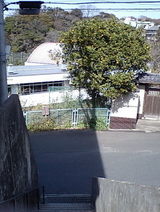 ���⣴