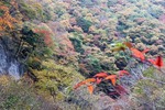 通仙境2