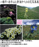 チベットの花写真展