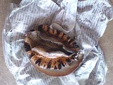 あわび1