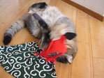 とりゃあっ!