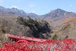 清里・東沢橋