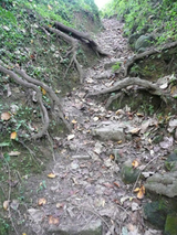 ハゲ山への裏道2